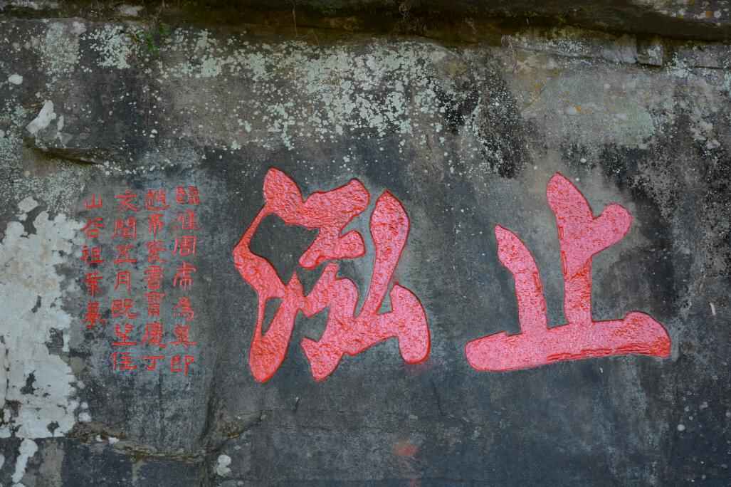 點擊看全圖